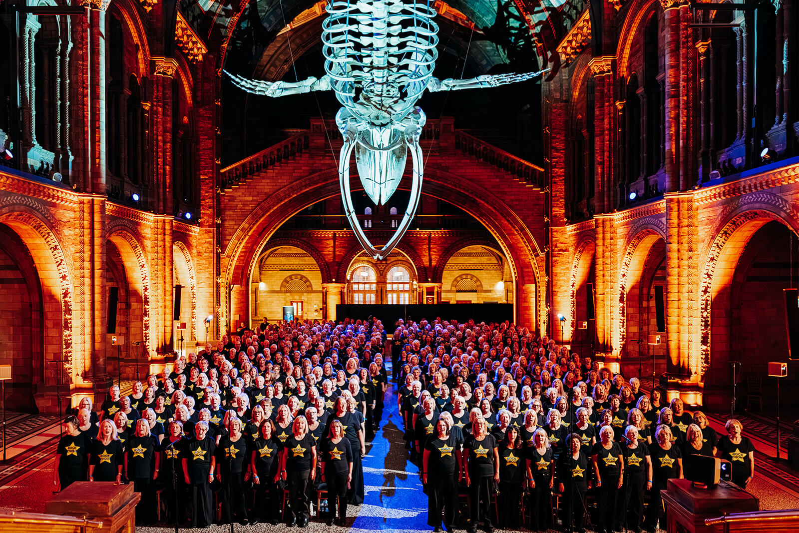 A Night at the Museum - 1