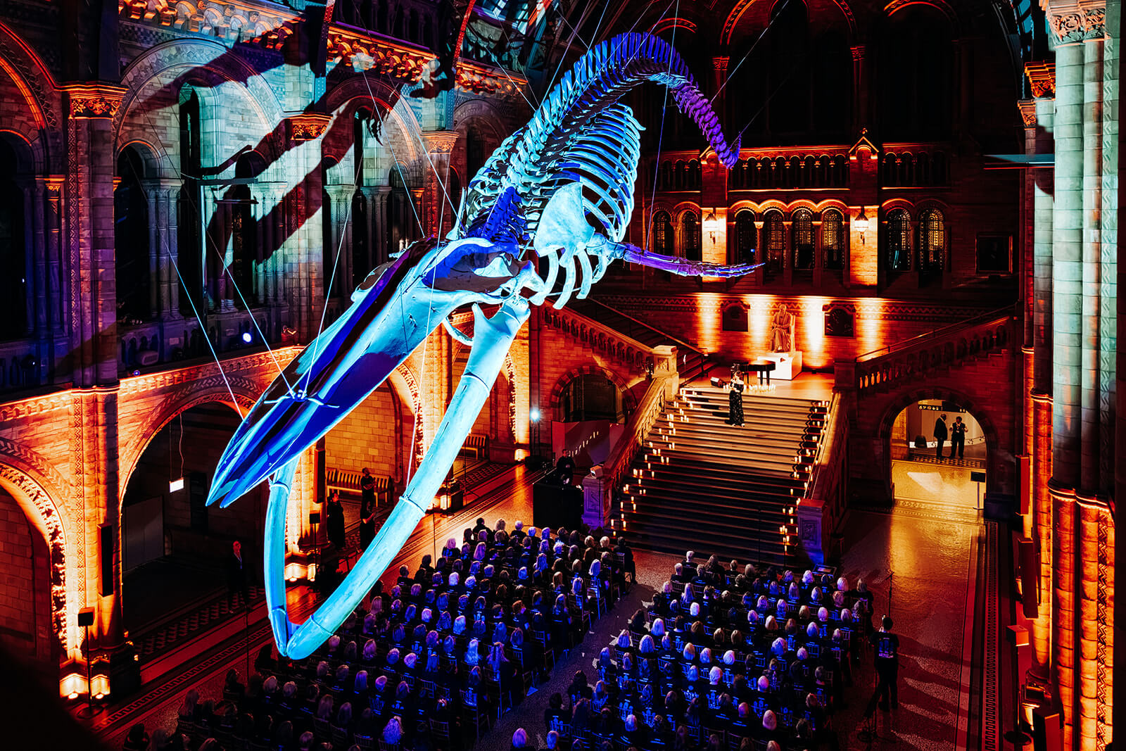 A Night at the Museum - 2