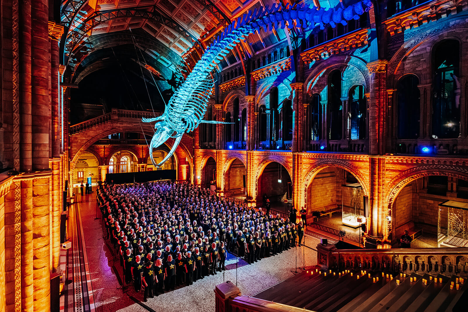 A Night at the Museum - 3